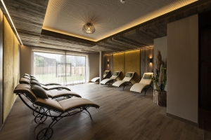 Spa and Wellness 