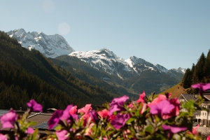 Apartment and Chalet 