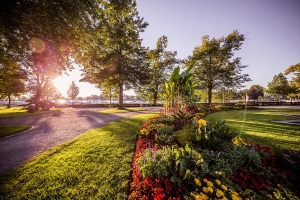 Landscape © Achim Mende, Internationale Bodensee Tourismus GmbH