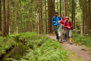 Landscape © Harzer Tourismusverband M. Gloger