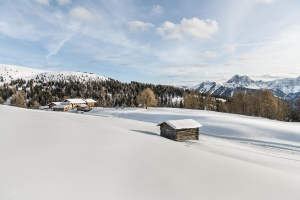 Landscape © IDM Südtirol–Alto Adige/Hannes Niederkofler