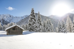 Landscape © IDM Südtirol-Alto Adige/Manuel Kottersteger